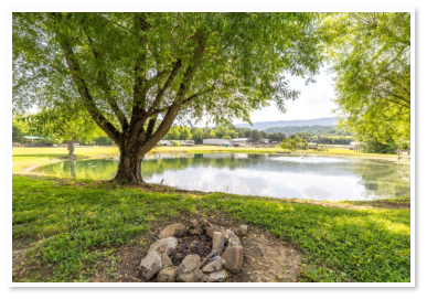 our fishing pond