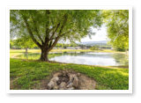 our fishing pond