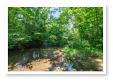 The creek that runs through our campground