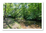 The creek that runs through our campground